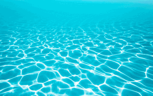 Cane che nuota in piscina al centro BauSplash